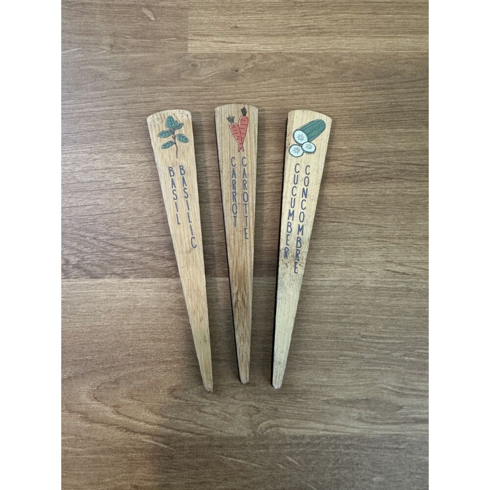 Disney Wooden Garden Plant Markers Set of 3 – Basil, Carrot & Cucumber – Disney